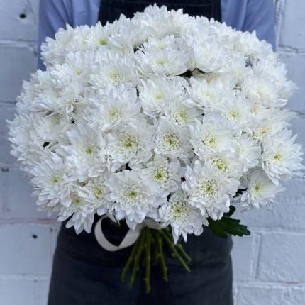 Белая кустовая хризантема - купить с доставкой в Тюмени