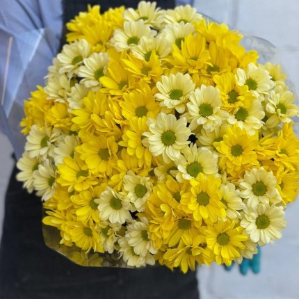 желтая кустовая хризантема - купить с доставкой в Тюмени